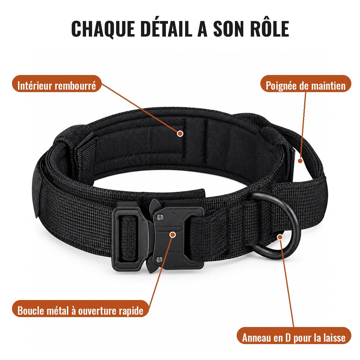 Détails du collier Cynana : poignée de maintien, intérieur rembourré, boucle métal à ouverture rapide, anneau en D
