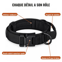 Détails du collier Cynana : poignée de maintien, intérieur rembourré, boucle métal à ouverture rapide, anneau en D