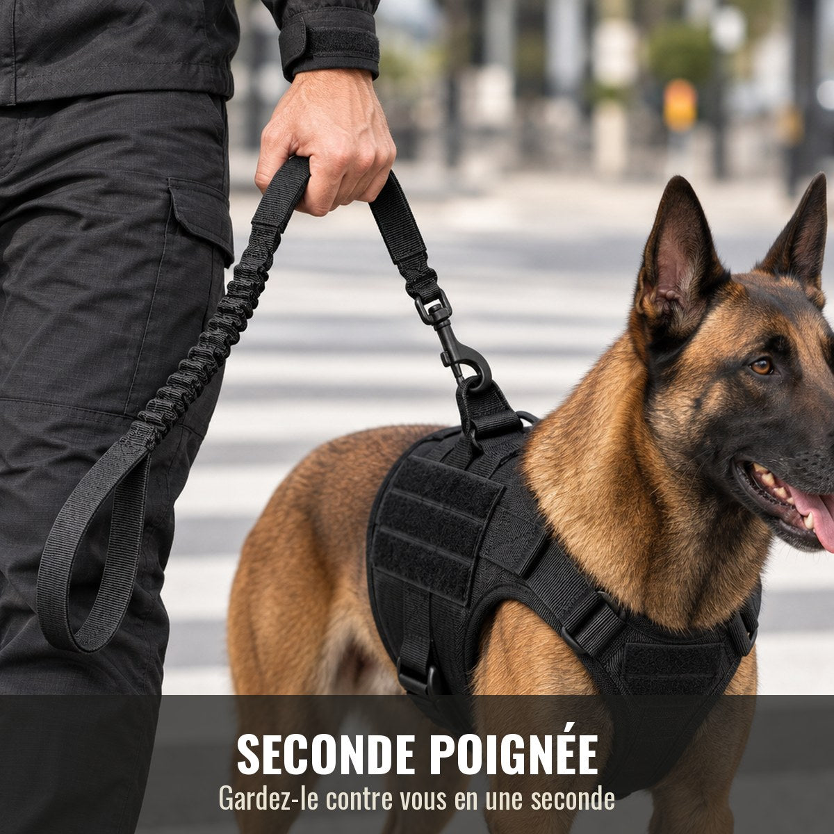 Maître tenant la seconde poignée de la laisse Cynana pour garder son chien contre lui