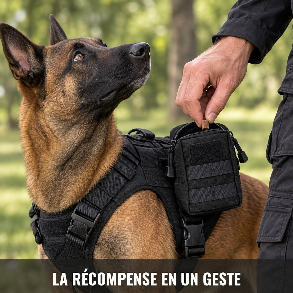 Main prenant une friandise dans la pochette fixée sur le harnais du chien