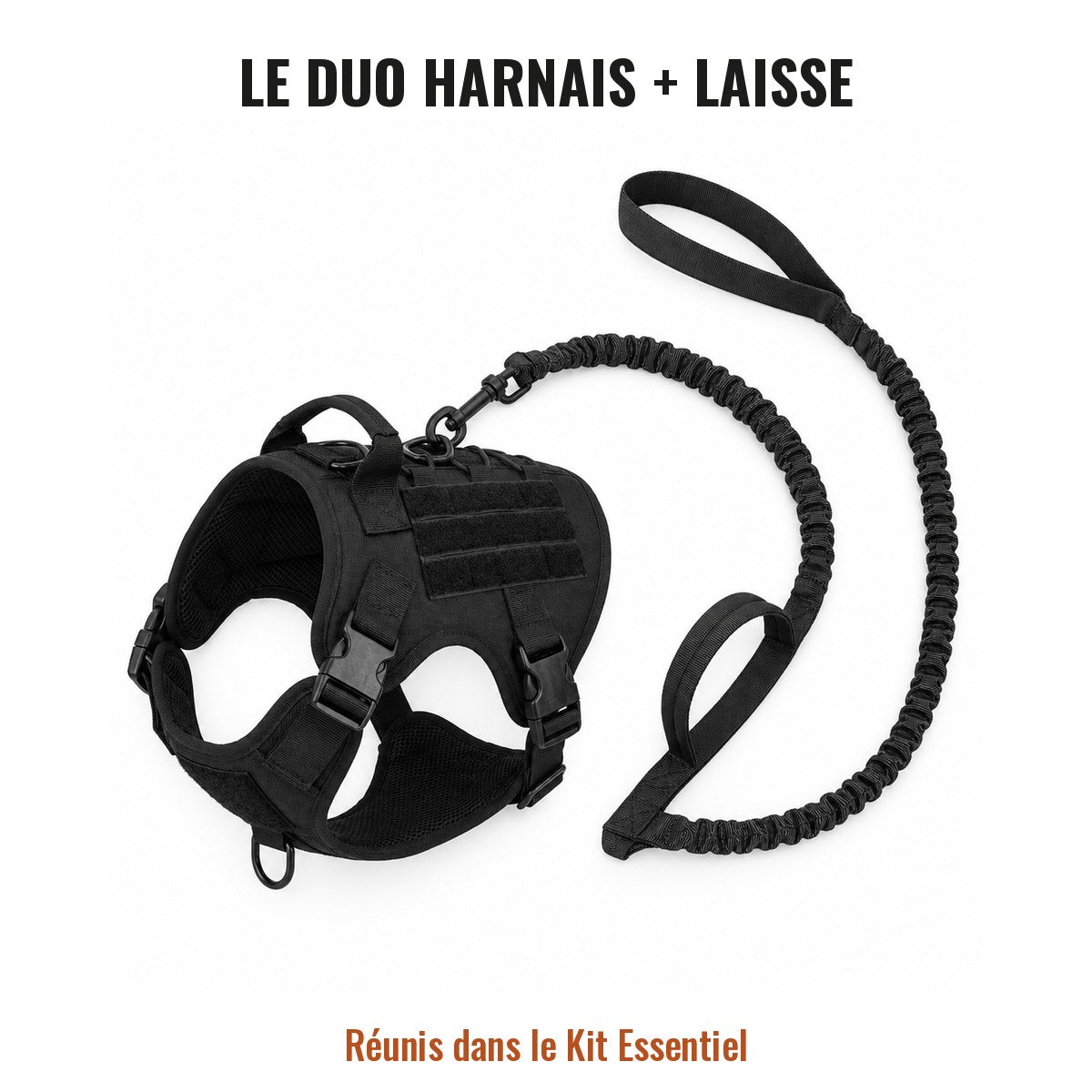 Harnais tactique et laisse Cynana réunis dans le Kit Essentiel