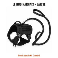 Harnais tactique et laisse Cynana réunis dans le Kit Essentiel