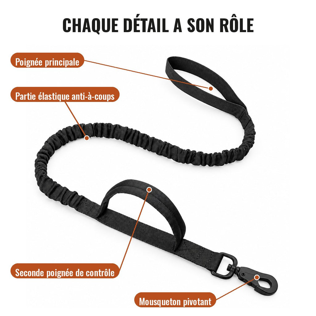 Détails de la laisse Cynana : poignée principale, partie élastique anti-à-coups, seconde poignée de contrôle et mousqueton pivotant
