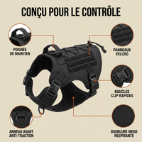 Caractéristiques du harnais Contrôle+ : anneau avant anti-traction, poignée, doublure mesh, panneaux velcro, boucles clip