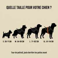 Guide des tailles du harnais Contrôle+ : S 56–71 cm, M 64–89 cm, L 71–102 cm, XL 81–114 cm de tour de poitrail