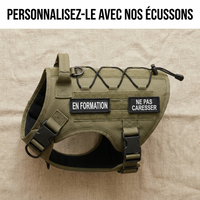 Harnais Contrôle+ kaki avec écussons velcro « EN FORMATION » et « NE PAS CARESSER »