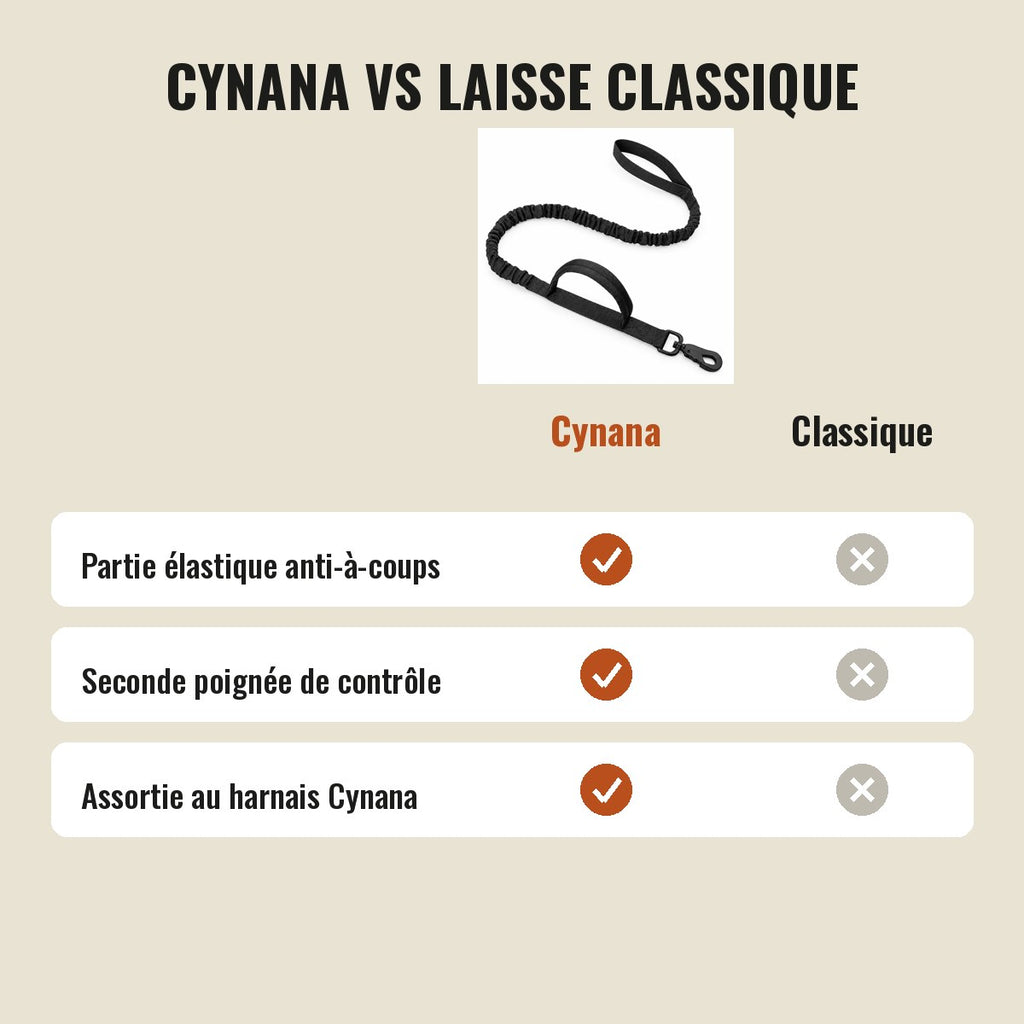 Comparatif entre la laisse tactique Cynana et une laisse classique