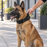 Malinois assis portant le collier tactique Cynana, son maître tenant la poignée